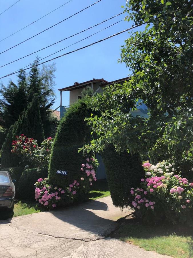 Vila Deni Tushemisht Εξωτερικό φωτογραφία
