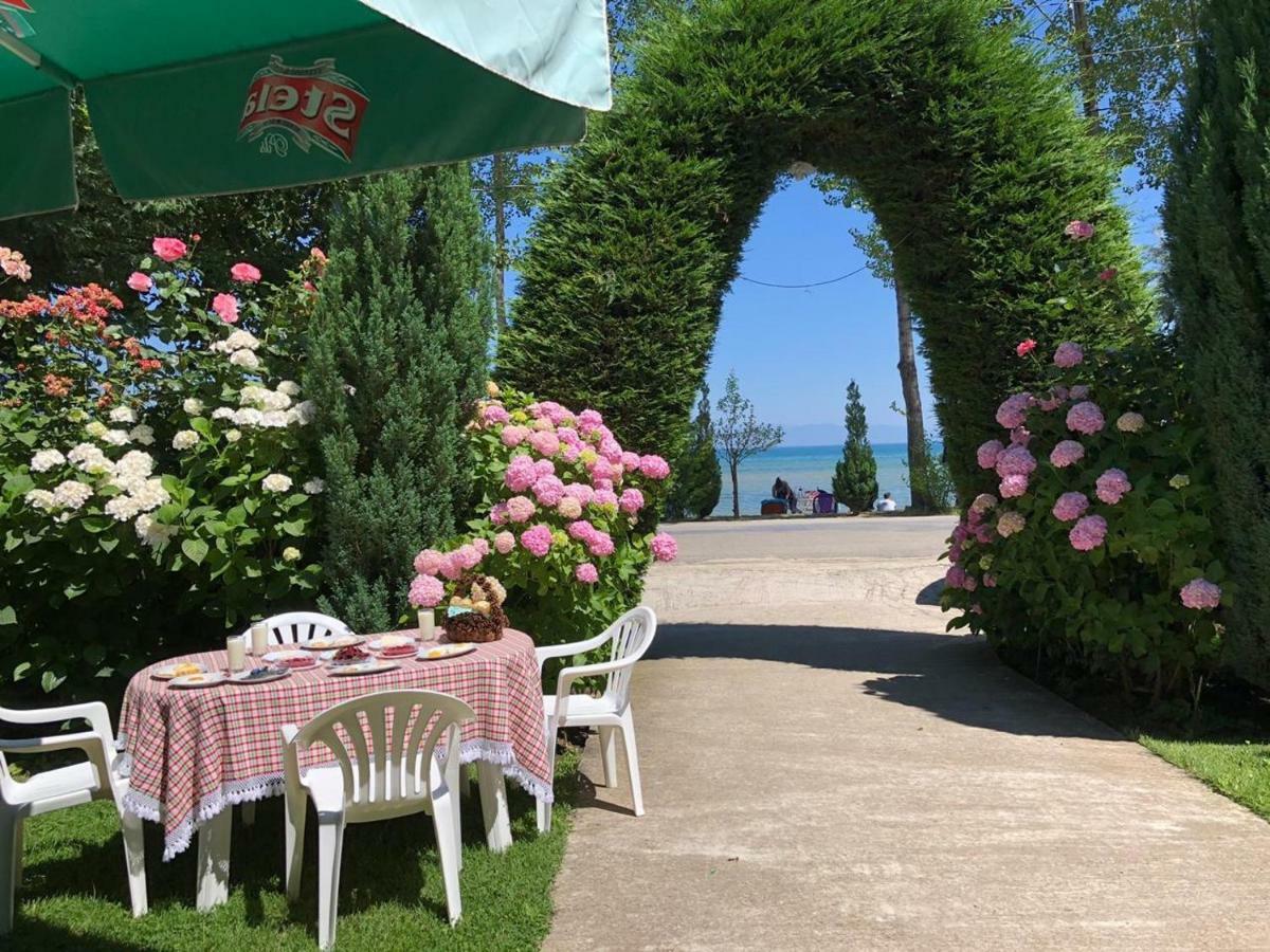 Vila Deni Tushemisht Εξωτερικό φωτογραφία