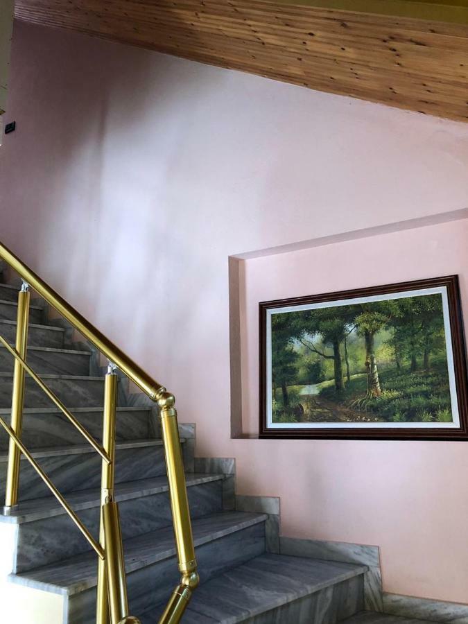 Vila Deni Tushemisht Εξωτερικό φωτογραφία