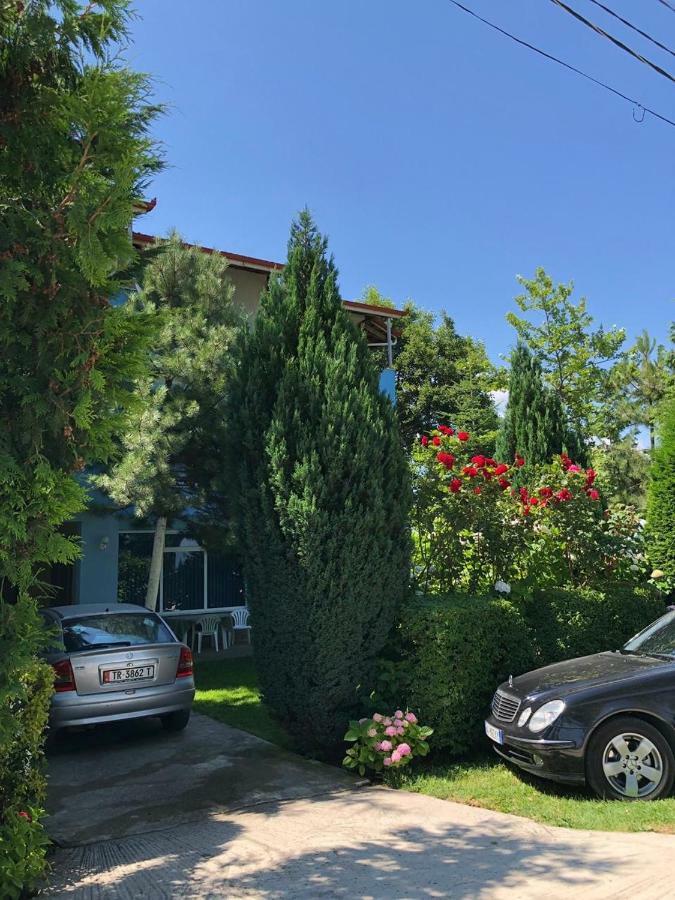 Vila Deni Tushemisht Εξωτερικό φωτογραφία